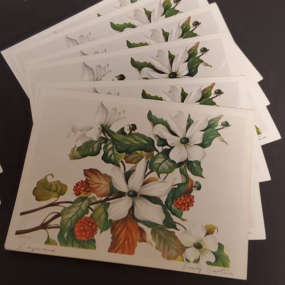 Greeting Cards - Unused (11) Austin Marshall - Picture 3 of 6